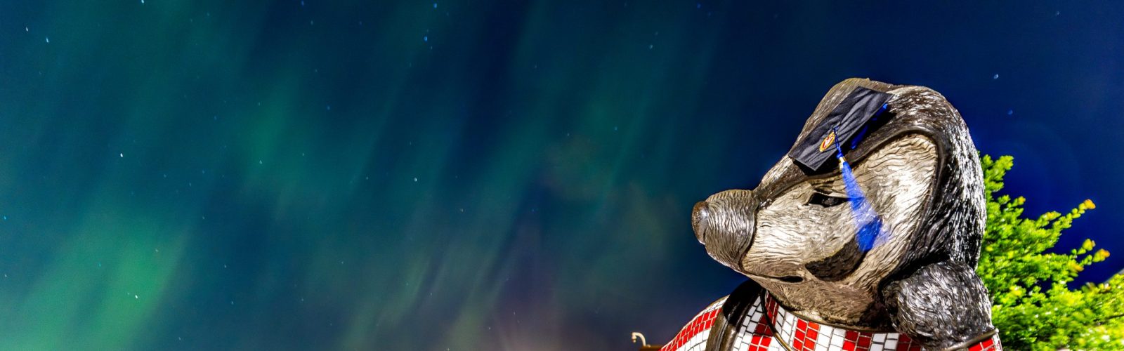 "Well Red," a sculpture by artist Douwe Blumberg of a studious-looking UW-Madison mascot Bucky Badger, is decorated with a Wisconsin School of Business graduation cap as he looks out on the Aurora borealis – commonly called the Northern Lights – as they grace the night sky above Lake Mendota along the University of Wisconsin–Madison shoreline on May 10, 2024, the night before commencement. The bright dancing lights of the aurora are collisions between electrically charged particles from the sun that enter the earth's atmosphere.